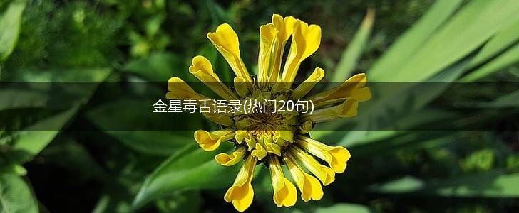 金星毒舌语录(热门20句),第1张