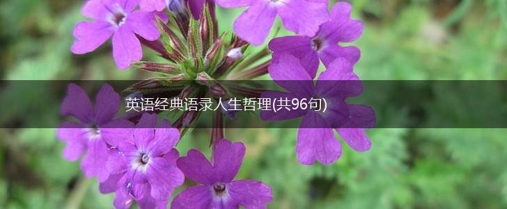 英语经典语录人生哲理(共96句),第1张
