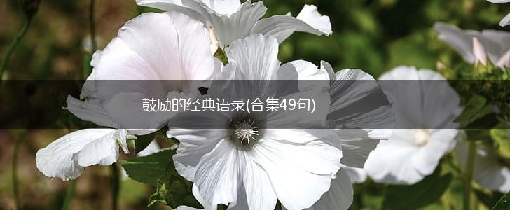 鼓励的经典语录(合集49句),第1张