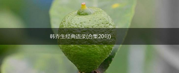 韩乔生经典语录(合集20句),第1张