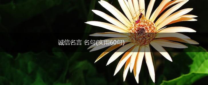 诚信名言 名句(实用60句),第1张 诚信名言 名句(实用60句),第1张