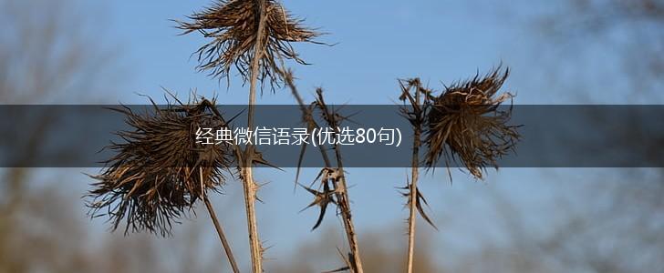 经典微信语录(优选80句),第1张