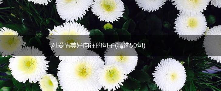 对爱情美好向往的句子(精选50句),第1张