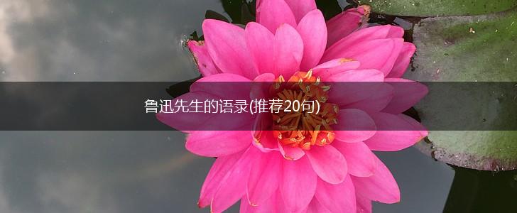 鲁迅先生的语录(推荐20句),第1张