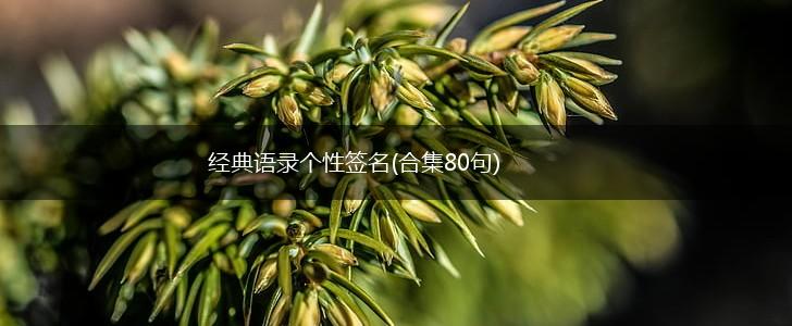 经典语录个性签名(合集80句),第1张