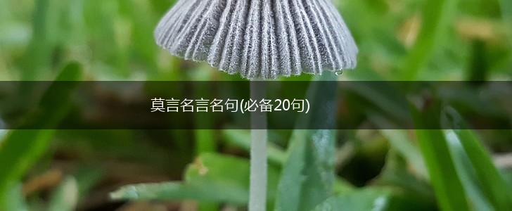 莫言名言名句(必备20句),第1张