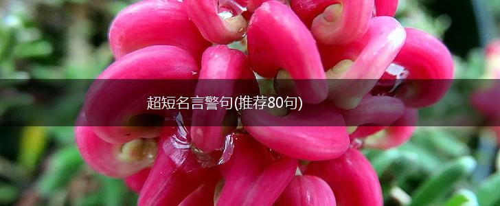 超短名言警句(推荐80句),第1张 超短名言警句(推荐80句),第1张