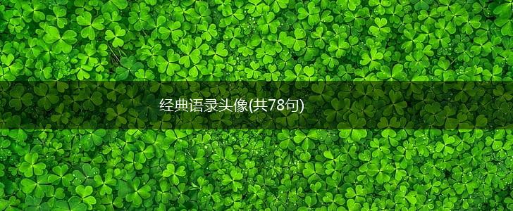 经典语录头像(共78句),第1张