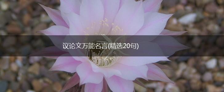议论文万能名言(精选20句),第1张