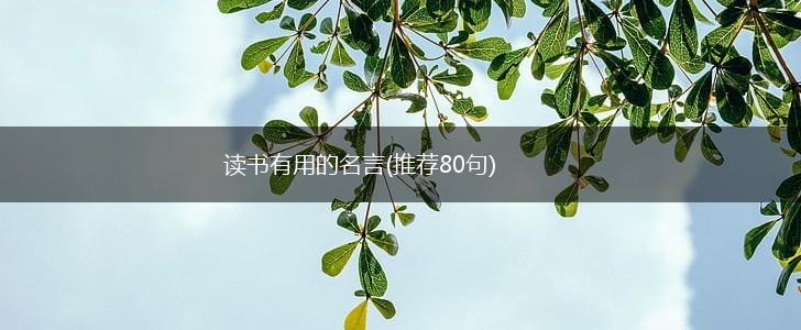 读书有用的名言(推荐80句),第1张 读书有用的名言(推荐80句),第1张