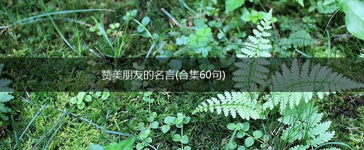 赞美朋友的名言(合集60句),第1张