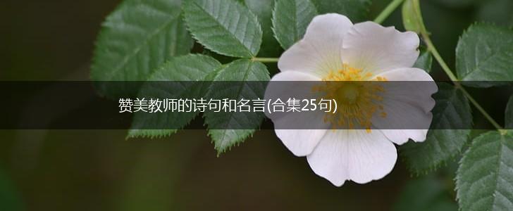 赞美教师的诗句和名言(合集25句),第1张
