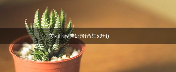 美丽的经典语录(合集59句),第1张