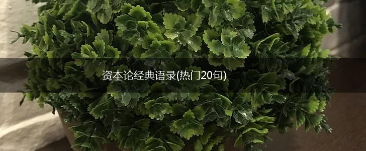 资本论经典语录(热门20句),第1张