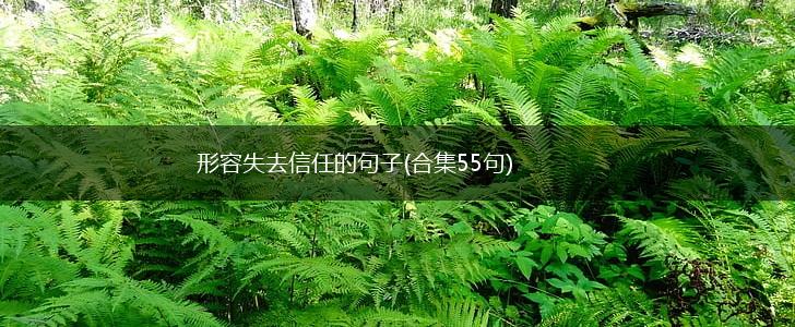 形容失去信任的句子(合集55句),第1张 形容失去信任的句子(合集55句),第1张
