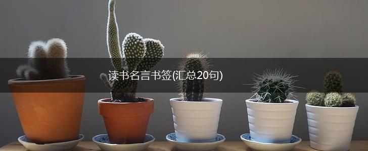 读书名言书签(汇总20句),第1张 读书名言书签(汇总20句),第1张