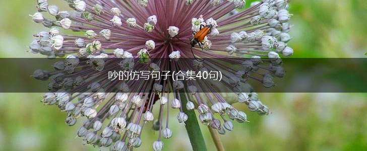 吵的仿写句子(合集40句),第1张