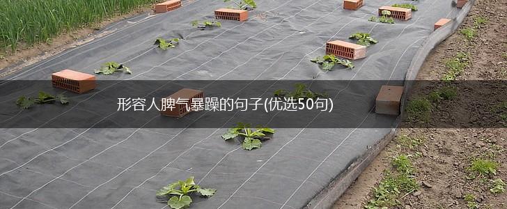 形容人脾气暴躁的句子(优选50句),第1张