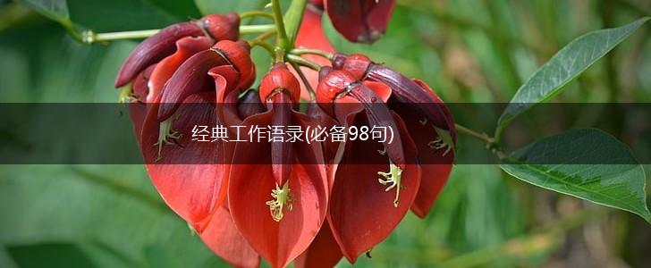 经典工作语录(必备98句),第1张