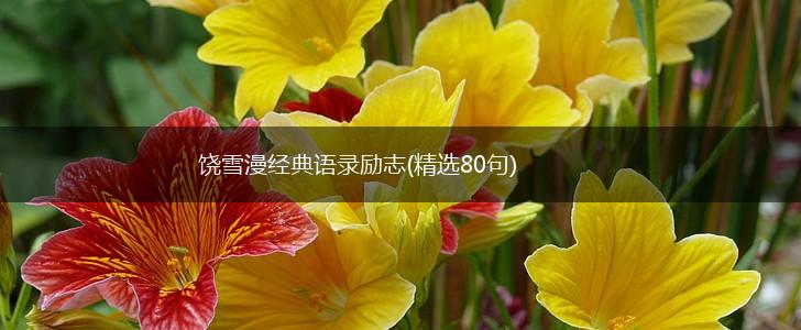 饶雪漫经典语录励志(精选80句),第1张