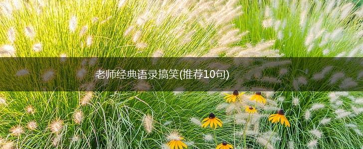 老师经典语录搞笑(推荐10句),第1张