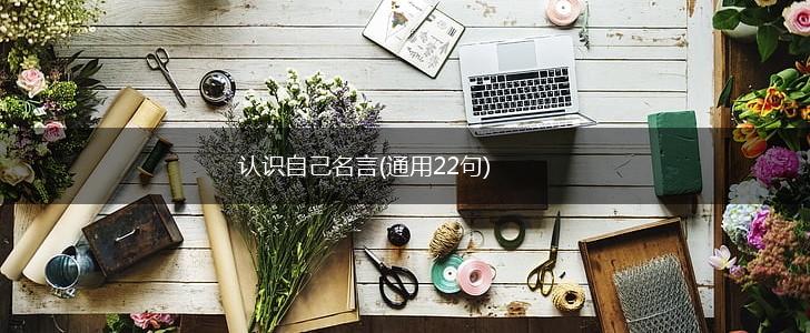 认识自己名言(通用22句),第1张 认识自己名言(通用22句),第1张