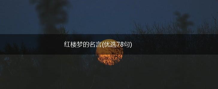 红楼梦的名言(优选78句),第1张 红楼梦的名言(优选78句),第1张