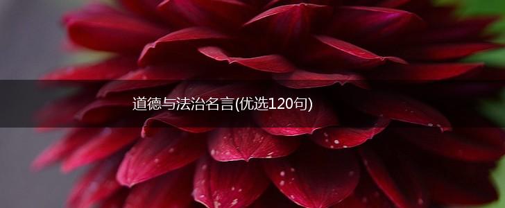 道德与法治名言(优选120句),第1张 道德与法治名言(优选120句),第1张