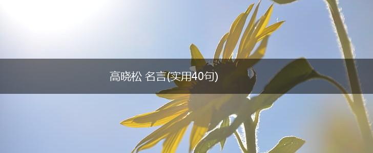 高晓松 名言(实用40句),第1张