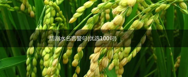 防溺水名言警句(优选100句),第1张