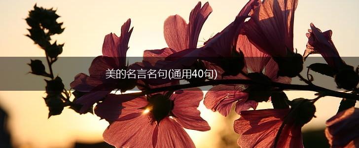 美的名言名句(通用40句),第1张