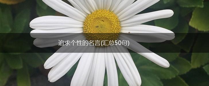 追求个性的名言(汇总50句),第1张 追求个性的名言(汇总50句),第1张