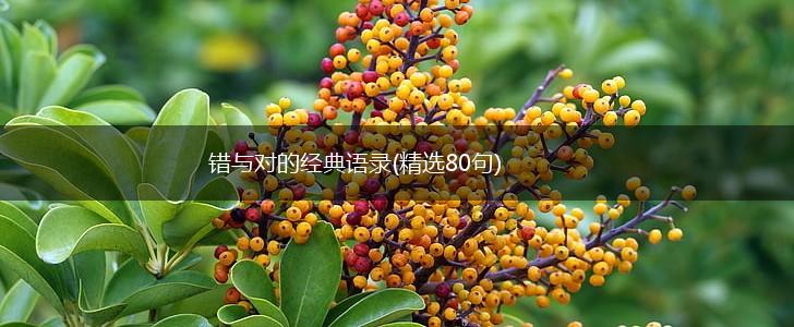 错与对的经典语录(精选80句),第1张