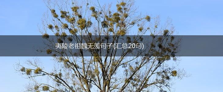 夷陵老祖魏无羡句子(汇总20句),第1张