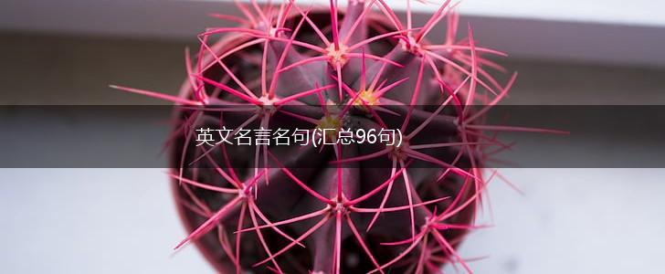 英文名言名句(汇总96句),第1张 英文名言名句(汇总96句),第1张