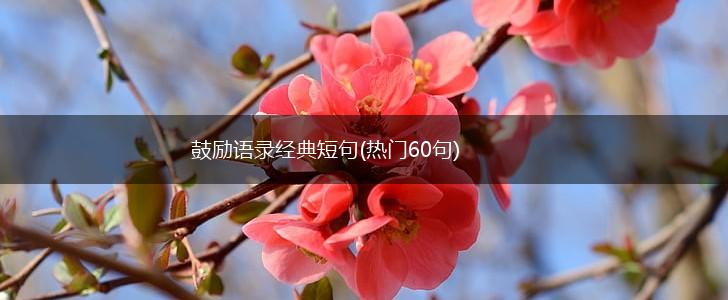 鼓励语录经典短句(热门60句),第1张