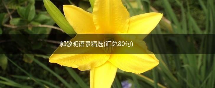 郭敬明语录精选(汇总80句),第1张