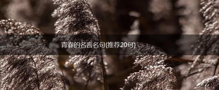 青春的名言名句(推荐20句),第1张