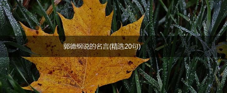 郭德纲说的名言(精选20句),第1张 郭德纲说的名言(精选20句),第1张