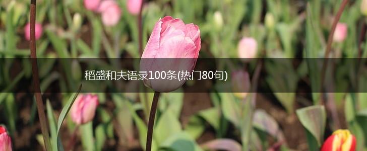 稻盛和夫语录100条(热门80句),第1张