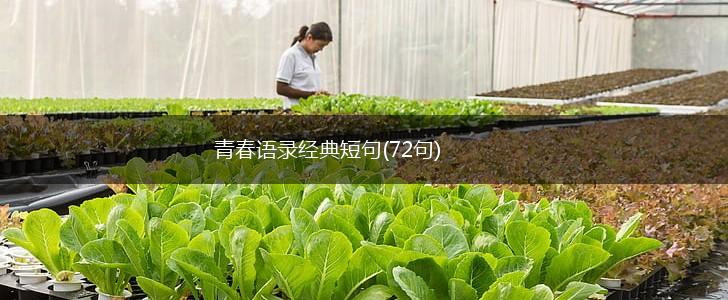 青春语录经典短句(72句),第1张