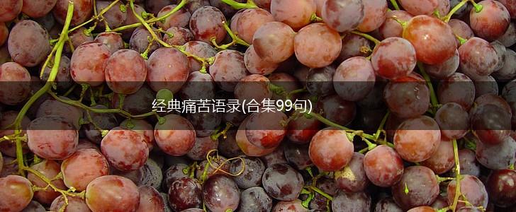 经典痛苦语录(合集99句),第1张