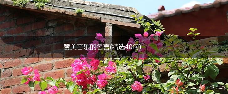 赞美音乐的名言(精选40句),第1张 赞美音乐的名言(精选40句),第1张