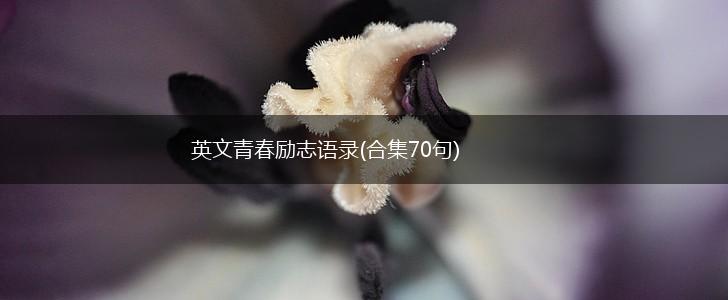 英文青春励志语录(合集70句),第1张