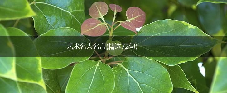 艺术名人名言(精选72句),第1张