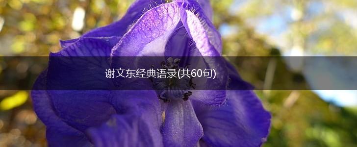 谢文东经典语录(共60句),第1张