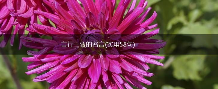 言行一致的名言(实用58句),第1张