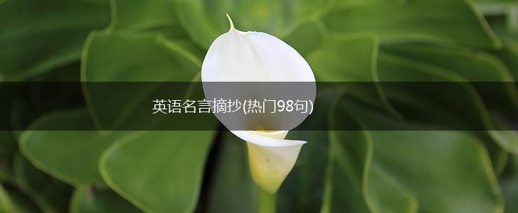 英语名言摘抄(热门98句),第1张 英语名言摘抄(热门98句),第1张