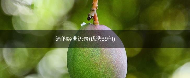 酒的经典语录(优选39句),第1张