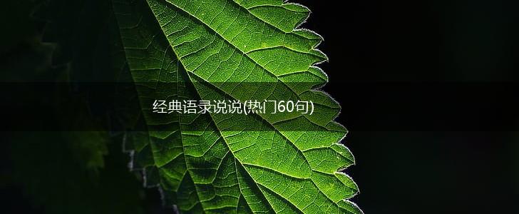 经典语录说说(热门60句),第1张